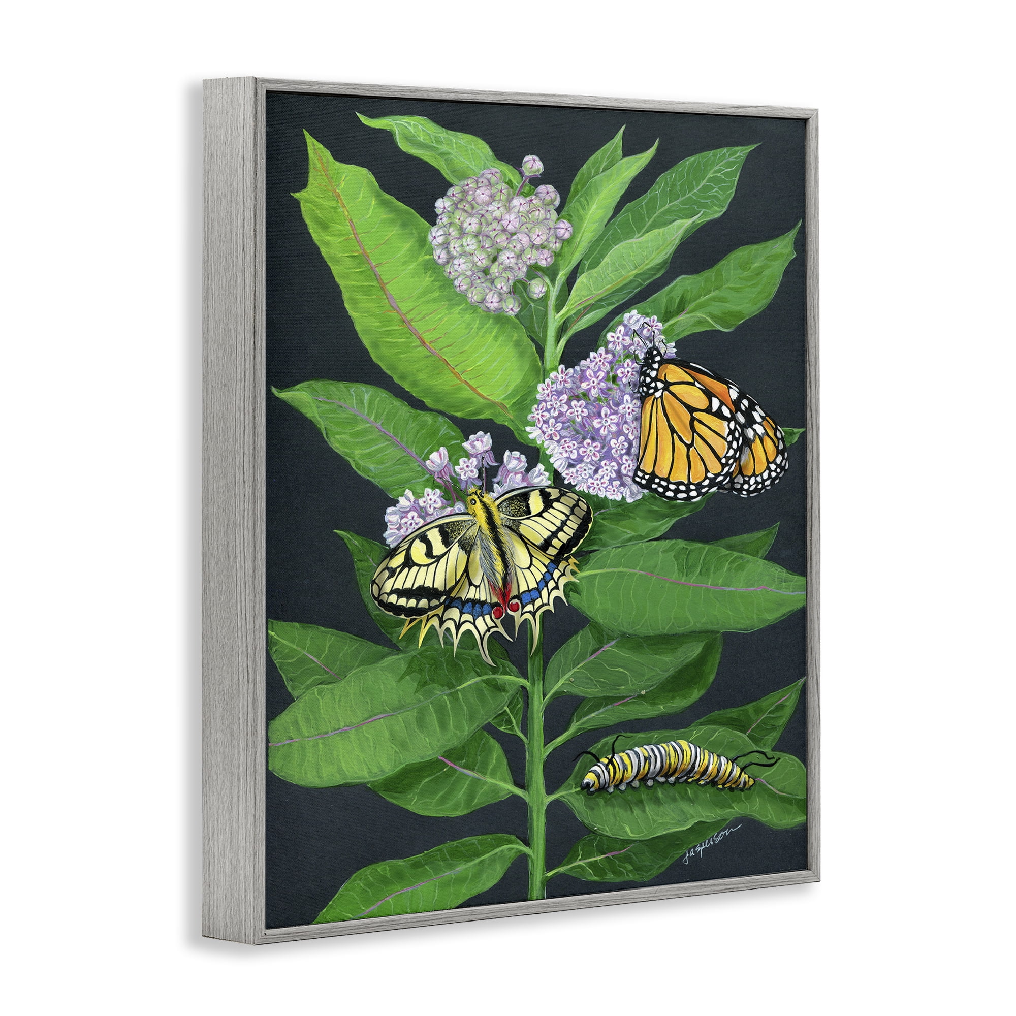 Stupell Industries Vintage Milkweed & Insects Animals & Insects Painting Gray Framed Art Print Wall Art, 24 x 30