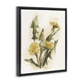 thumbnail image 3 of Stupell Industries Farmhouse Traditional Yellow Dandelion Black Floating Frame Canvas Art, 25 x 31, by Ethan Harper, 3 of 8