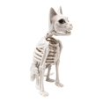 thumbnail image 1 of Esqueleto de gato realista para Halloween, decoración de 5,9 x 9,4 x 13,4 pulgadas para cementerio, , multifuncional, de animal realista., 1 of 9