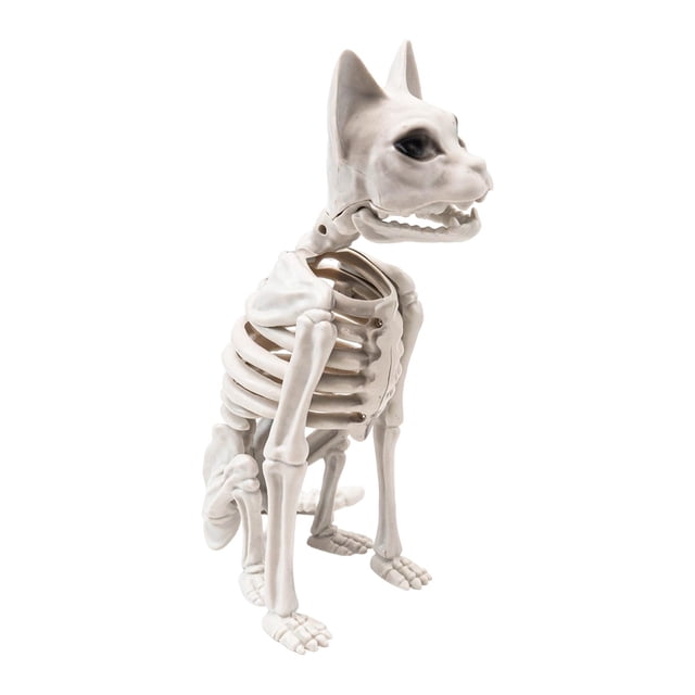 Esqueleto de gato realista para Halloween, decoración de 5,9 x 9,4 x 13,4 pulgadas para cementerio, , multifuncional, de animal realista.