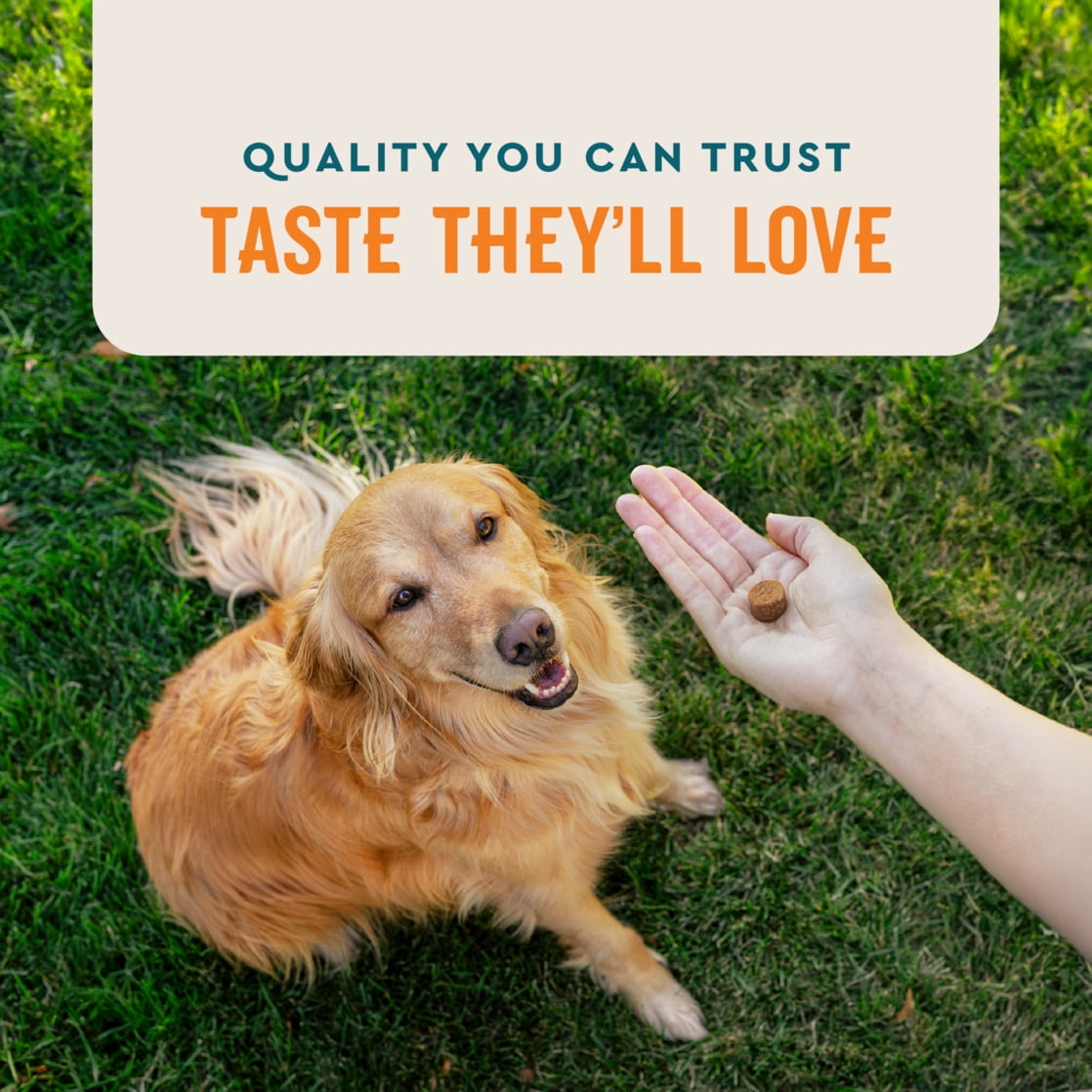 VetIQ Skin & Coat Chews for Dogs
