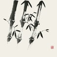 thumbnail image 2 of Rae, Nan 15x15 Black Ornate Wood Framed with Double Matting Museum Art Print Titled - Bamboo Collection I, 2 of 4