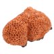 thumbnail image 1 of unbranded De Coral De Resina Para Acuario Con Y Resistente Al, 1 of 8
