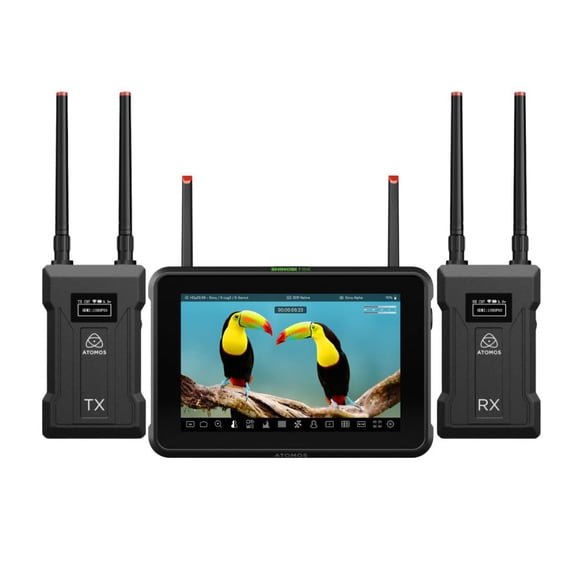 Monitor Atomos Shinobi 7 RX HDR de 7 pulgadas con conjunto de transmisores
