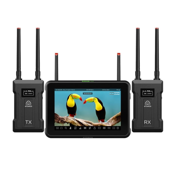 Monitor Atomos Shinobi 7 RX HDR de 7 pulgadas con conjunto de transmisores