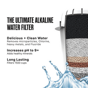 Invigorated Water PH001 Ultra Alkaline Water Filter, 96 Gallons, Multi-Stage Filtration, 1-Pack