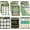 Greenery, variant on 14 PCS Boho Parts of Speech Posters for Classroom Decorations Boho Grammar Posters Language Arts Back to School Rainbow Hearts Educational Elementary Supplies for Class School Decor