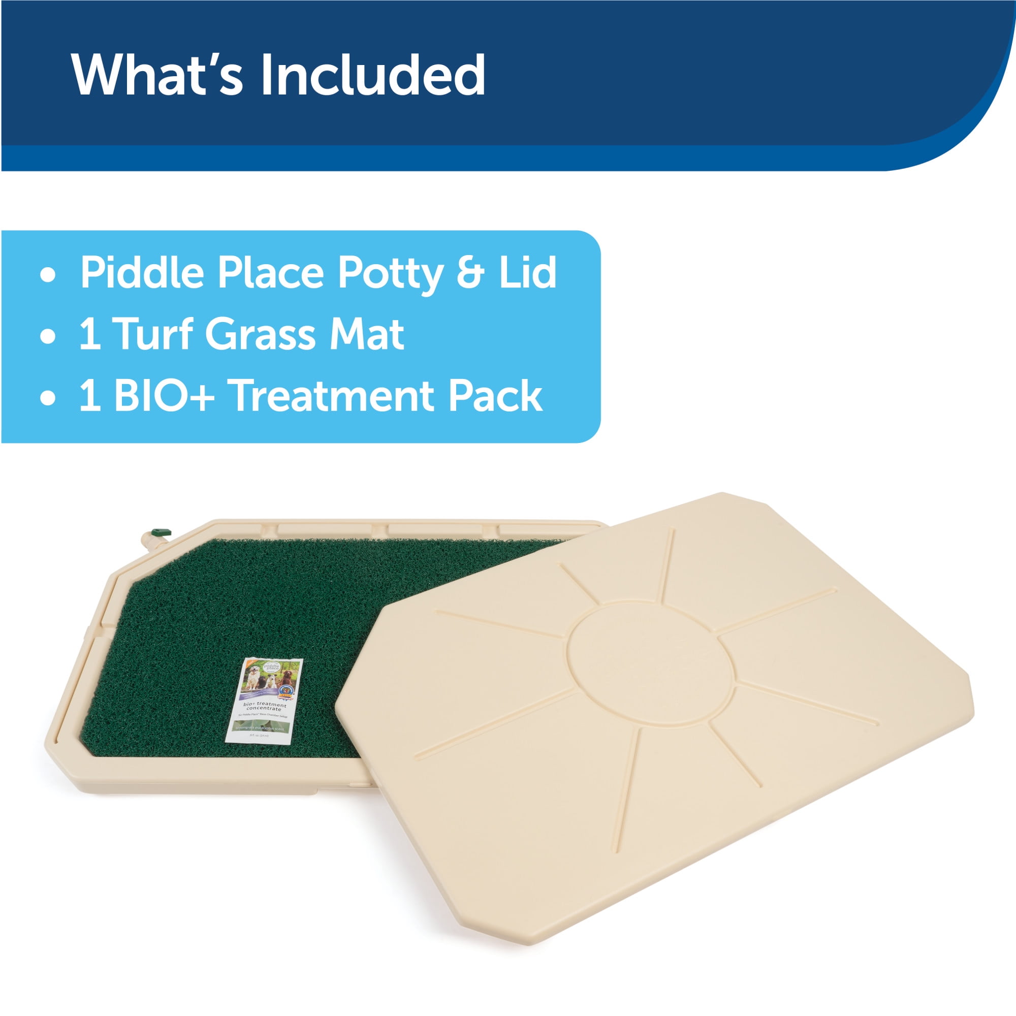 Piddle place potty cheap