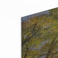 thumbnail image 2 of Luxe Metal Art 'Autumn Foliage Sunburst III' by Alan Majchrowicz,Metal Wall Art, 24"x36", 2 of 7