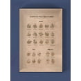 thumbnail image 6 of Made in USA World of Beer Puzzle, 6 of 9