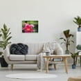 thumbnail image 3 of Stupell Industries Hummingbird with Hibiscus Animals & Insects Photography White Framed Art Print Wall Art, 20 x 16, 3 of 9