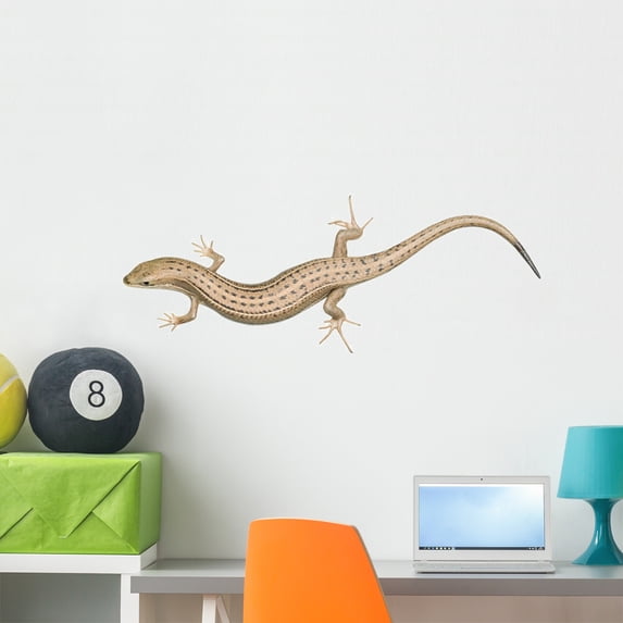Skink Lizard White Wall Decal by Wallmonkeys Peel and Stick Graphic (36 in W x 14 in H) WM156136