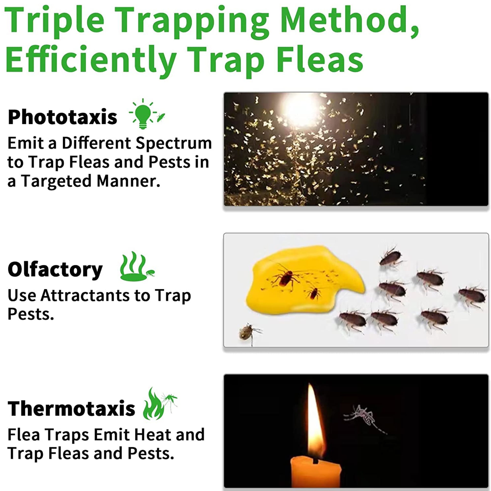 Sticky Dome Bed Bug Insects,Indoor Pest Control Trapper Natural Insect Killer Pad with Sticky Pads and Light Bulbs for Bugs Fleas 1p flea trap Protecker Flea Trap Non-Toxic Odorless 2 Pack 