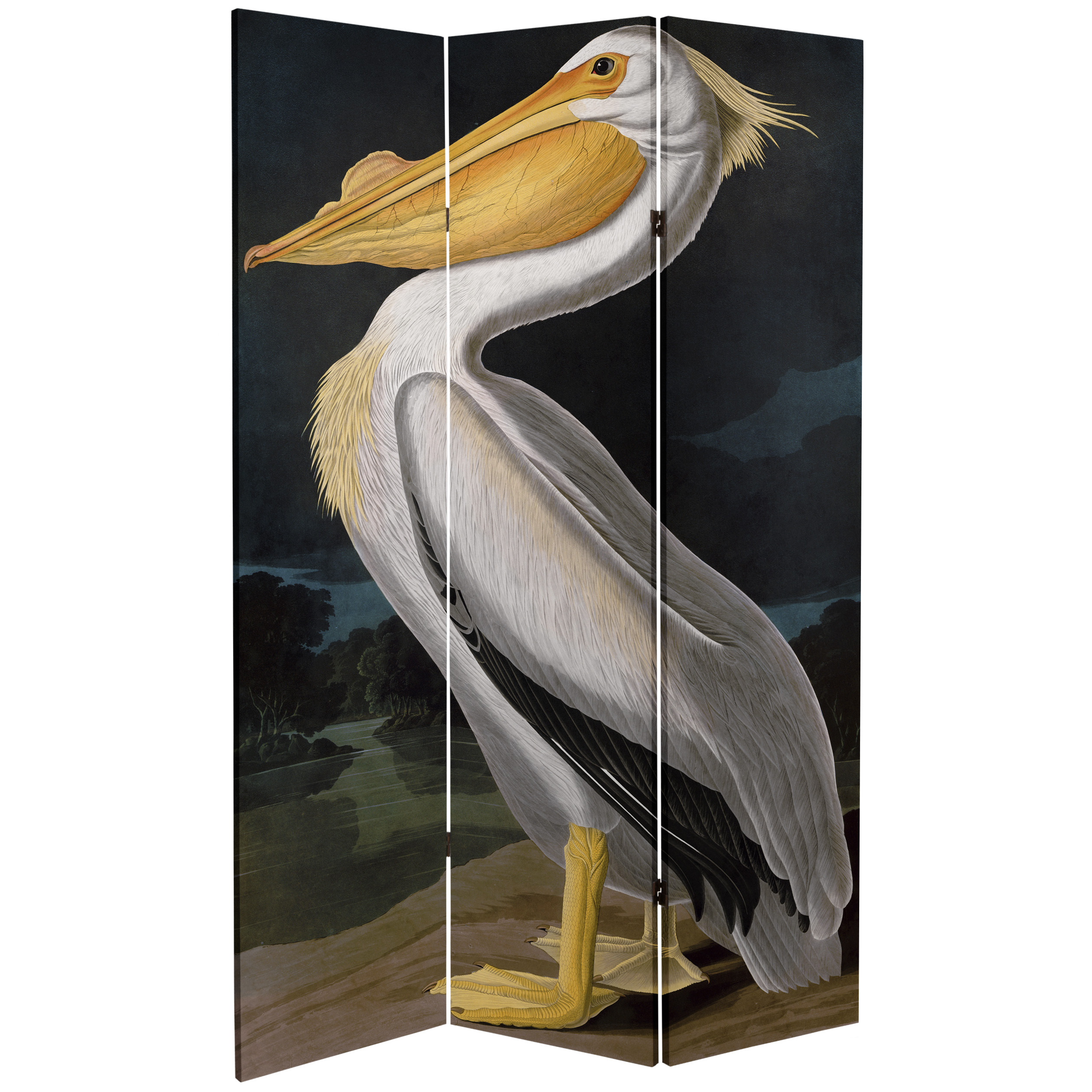 6 ft. Tall Audubon Pelican Canvas Print Room Divider Floor Screen - image 3 of 3