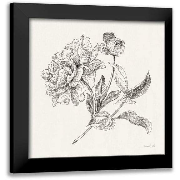 Nai, Danhui 12x12 Black Modern Framed Museum Art Print Titled - Flower Sketches I