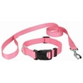 thumbnail image 5 of Country Brook Design&reg; Deluxe Nylon Dog Collar and Leash, 5 of 7