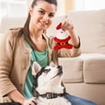 thumbnail image 5 of Taotanxi New Pet Supplies Christmas Dog Toy Sound Emitting Puppy Toy Santa Decoration, 5 of 6