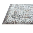 thumbnail image 5 of HR Area Rug 8x10 Traditional Rug Gray Vintage Floor Mat Thin and Soft Rug Floral Print Carpet Foldable Accent Rug Dining Room Living Room Faded Rug for Bedroom, 8x 10 Gray, Silver, Multi Color, 5 of 6