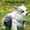 Pet Poop Bags Under $5 A2, variant on Pet Poop Bags, Yannianjz Dog Poop Bags Dispenser, Outdoor Pet Waste Bag Holder with Metal Clip, Portable Pet Garbage Bag for Walking, Travel, Park, Easy Dispense