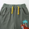 thumbnail image 6 of Hiijoy Toddler Boys Cotton Outfits Summer Dinosaur Graphic T Shirt Shorts Set, Sizes 1-2Y, 6 of 8