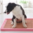 thumbnail image 2 of Entrenador de Mascotas Entrenamiento Inodoro Orinal de Perro Orinal Almohadilla de Adiestramiento Rosado, 2 of 8