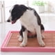 thumbnail image 2 of Inodoro Lavabo para Mascotas Almohadilla de Adiestramiento para Perro Material de Resina Antibacteriana - Rosa Rosado, 2 of 8