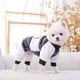 thumbnail image 2 of Conjuntos de otoño e invierno para perros, cachorros pequeños de Pomerania, vacas cos, pandas, abejas y otros conjuntos lindos de otoño e invierno., 2 of 4