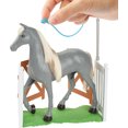 thumbnail image 3 of Barbie Barbie World Coffret de jeu Champion de saut d’obstacles - Exclusivité Walmart, 3 of 6