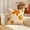 D, variant on Fall Throw Pillow Covers, 18x18 Autumn Thanksgiving Leaf Maple Leaves Pumpkin Outdoor Pillows Covers, for Couch Patio Furniture Bed Room Livingroom Sofa Porch, Pillow Insert not Included