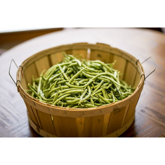 SEEDS = = = Blue Lake BUSH -50 Green Bean Seeds - Vegetable Seed- Stringless -Serendipity Seeds