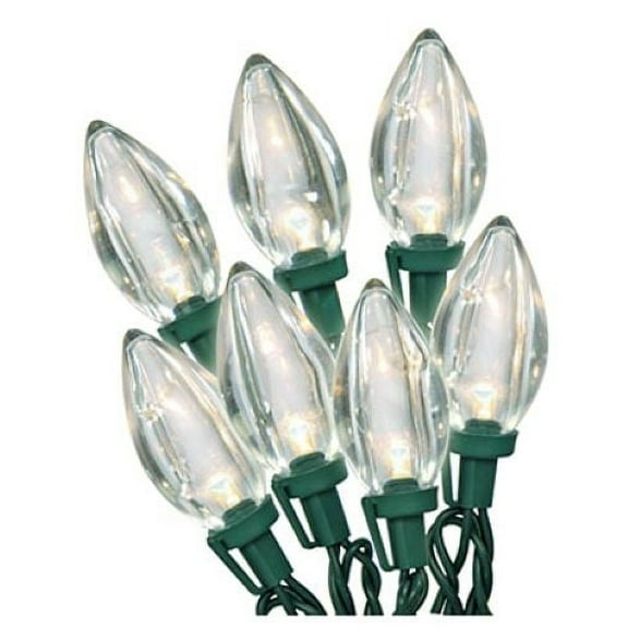 Holiday Wonderland 2935-88A Holiday LED 25-Light C9 Warm White Bulb Set