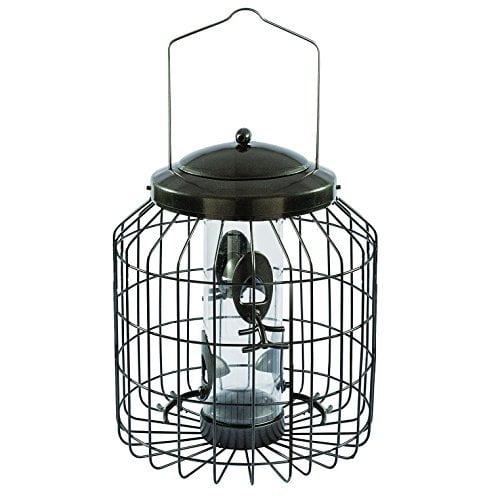 Gardman Heavy Duty Squirrel Proof Seed Feeder Walmart Com