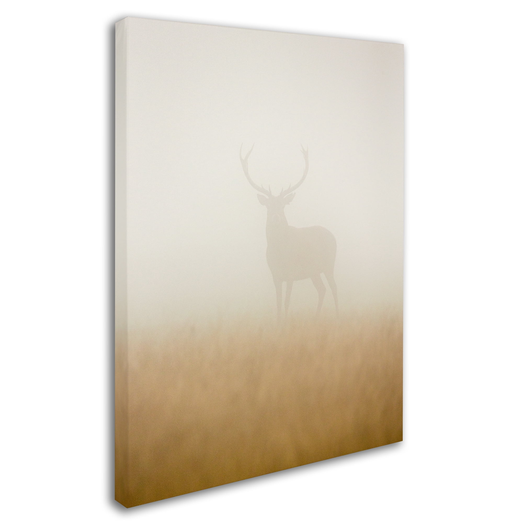 Trademark Fine Art 'Ghost Stag' Canvas Art by Stuart Harling