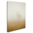 thumbnail image 2 of Trademark Fine Art 'Ghost Stag' Canvas Art by Stuart Harling, 2 of 3