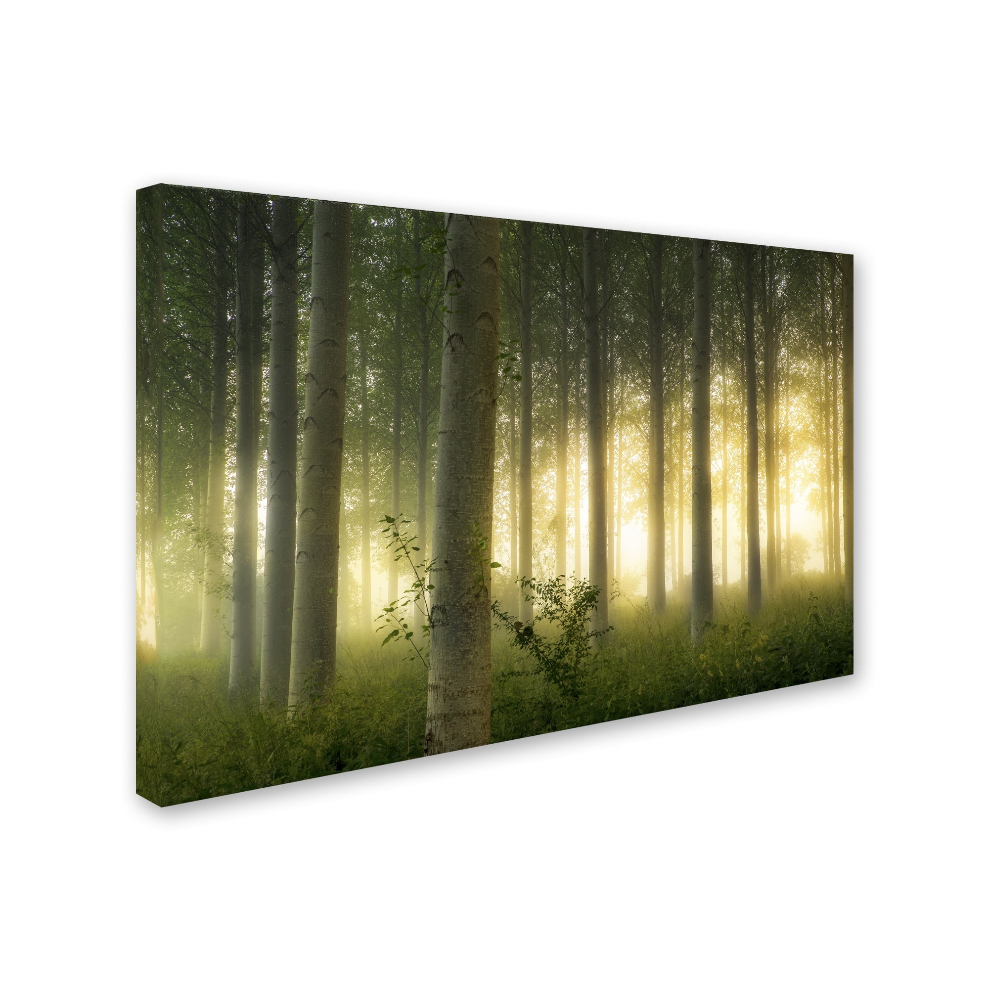 Mathieu Rivrin 'Enchanted World' Canvas Art 16 x 24