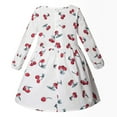 thumbnail image 4 of Utoimkio Toddler Girls Party Dress Floral Print Long Sleeve Princess Dress Spring Fall Outfits Clothes, 4 of 4
