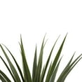 thumbnail image 6 of Nearly Natural 4' Spiked Agave Polyester Artificial Plant, Green, 6 of 9