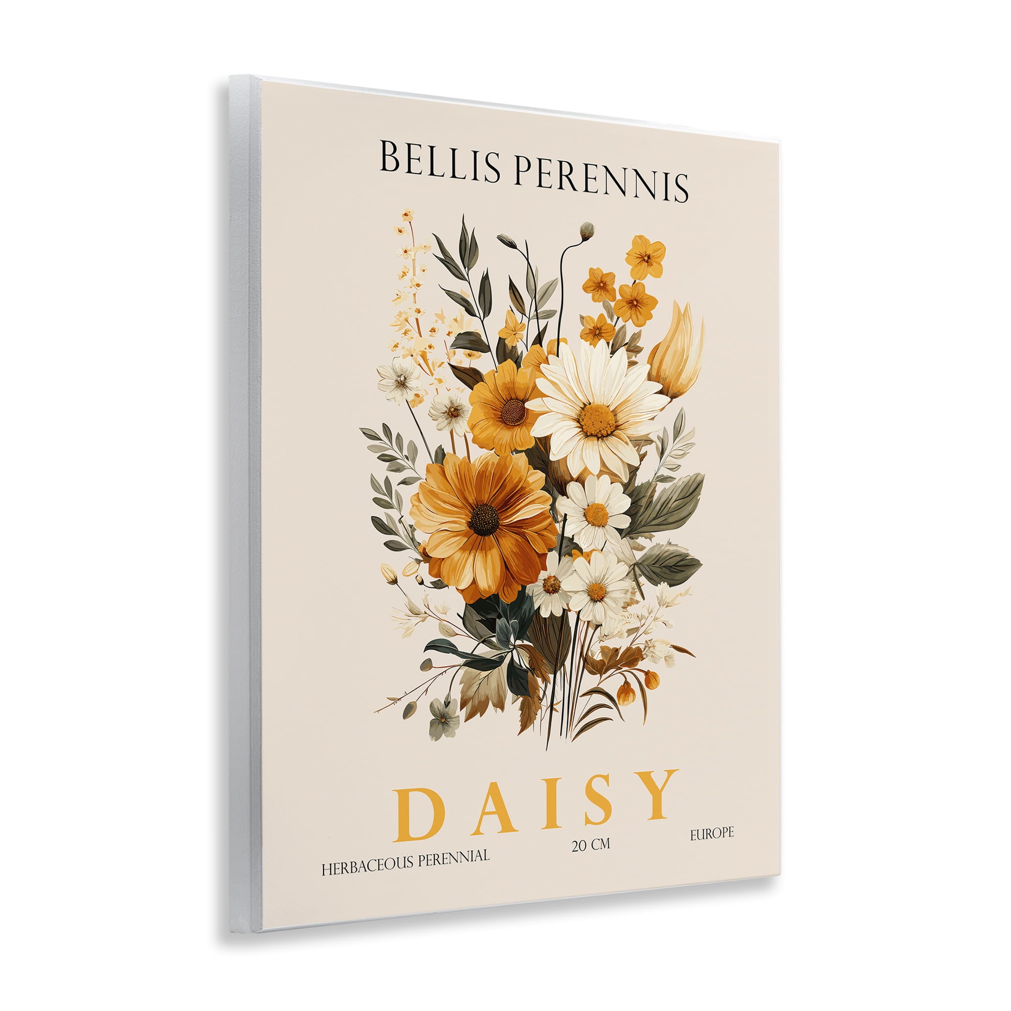 Stupell Industries Nature Daisy Bundle Wall Plaque Art, design by Christopher Giampietro