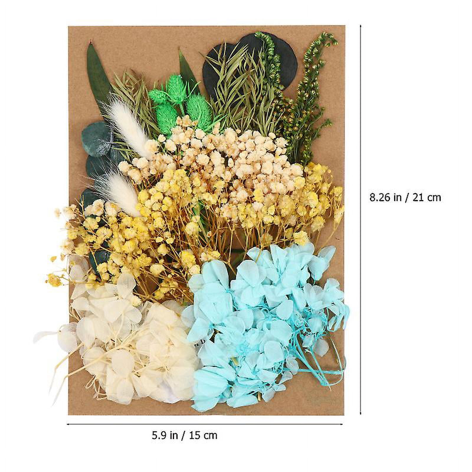 1pcs Pressed Flowers
