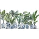 thumbnail image 1 of Cuadro Decorativo - Jardín chinoiserie Jr  Impresión en canvas, estrechado, 1 of 2
