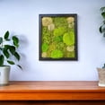 thumbnail image 5 of Evergreen Oasis Preserved Moss Wall Decor 16"x13", Preserved Moss & Artificial Greenery, Wood Framed Wall Hanging, Complete Art, 5 of 7