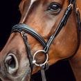 thumbnail image 5 of Horze Sion Bridle with Reins, 5 of 8