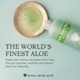 thumbnail image 2 of Gel de aloe vera Aruba Aloe Pure calma e hidrata la piel, 65 ml, 2 of 7