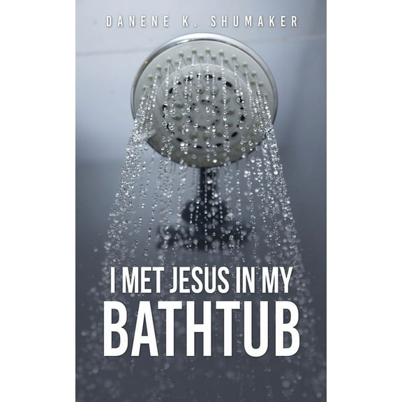 I Met Jesus in My Bathtub, (Paperback)