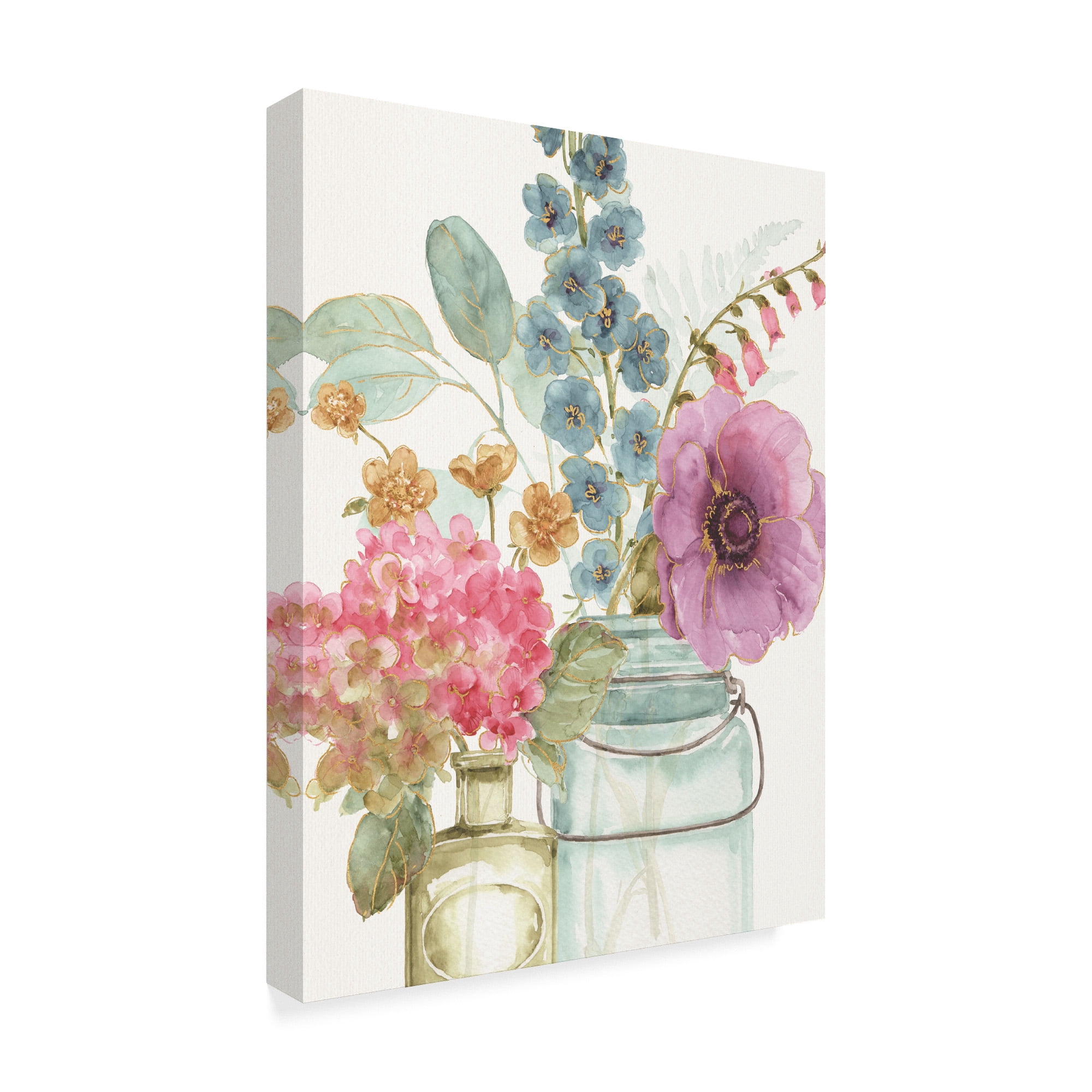 Trademark Fine Art 'Rainbow Seeds Flowers VIII' Canvas Art by Lisa Audit