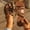 Brown, variant on YOUYEDIAN Orthopedic Sandals for Women Arch Support Summer Flat Sandals Wide Width Slip on Non Slip Orthopedic Slippers Soft 2026 New Orthopedic Shoes