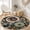 Color 5, variant on SPXUBZ Velvet Round Area Rug Modern Pastel Sunbeam Sun Mandala Circular Floor Mat Soft Non-Slip Aesthetic Minimalist Boho Carpet for Living Room Throw Rug