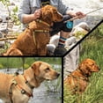 thumbnail image 6 of Wolfgang Heavy Duty Adjustable Dog Harness, Pull-Tested to Over 800 lbs for Walking & Training, CutBow Print, Large, 6 of 6
