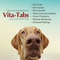 thumbnail image 3 of Vita-Tabs Liver Base Supplement, 100-Count Bottle, 3 of 9