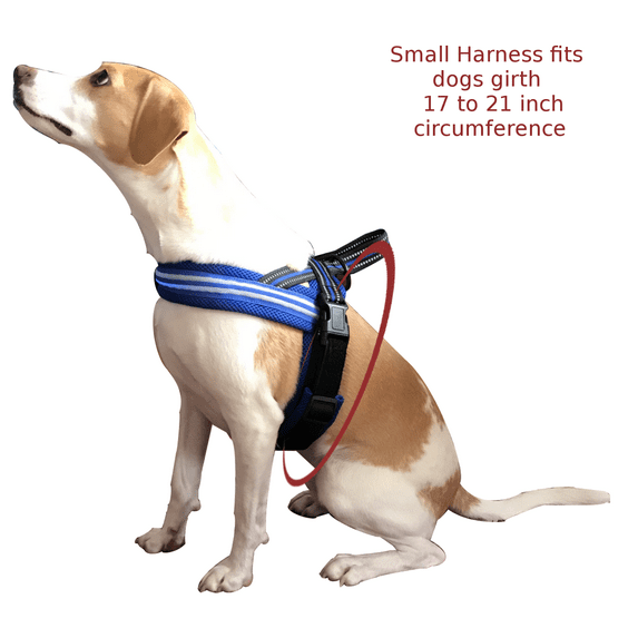 Outdoor Dog Harness with LED chest lights, reflective chest seams, fast slip adjustable clip, no choke / no-pull design for control over extra small (XS), small, medium, large, & extra large(XL) dogs